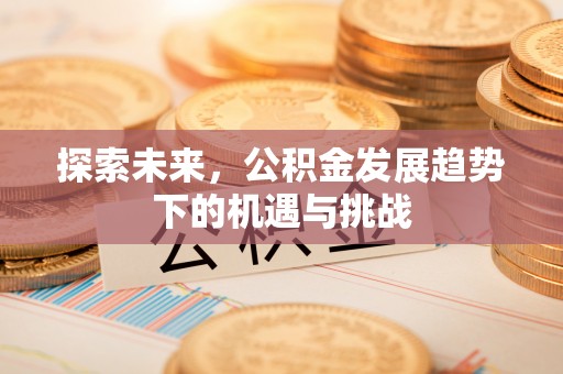 芗城探索未来，公积金发展趋势下的机遇与挑战