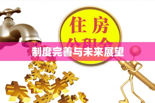 芗城制度完善与未来展望