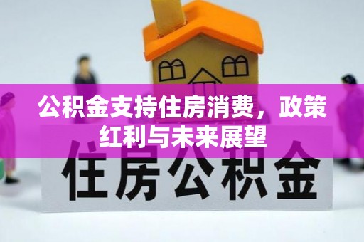 芗城公积金支持住房消费，政策红利与未来展望