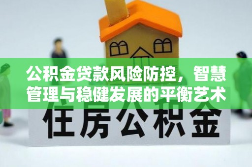 芗城公积金贷款风险防控，智慧管理与稳健发展的平衡艺术